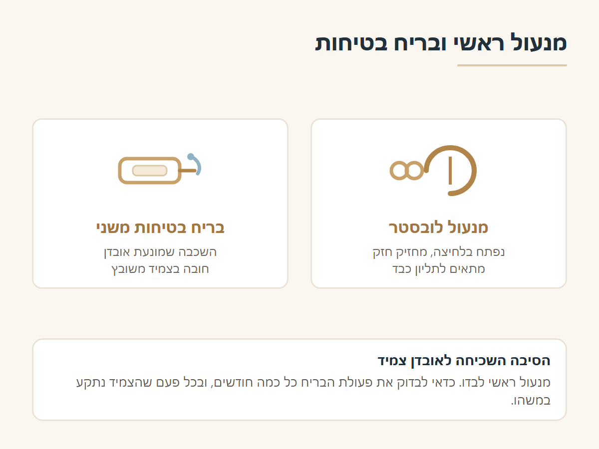 מנעול לובסטר ובריח בטיחות משני בצמיד