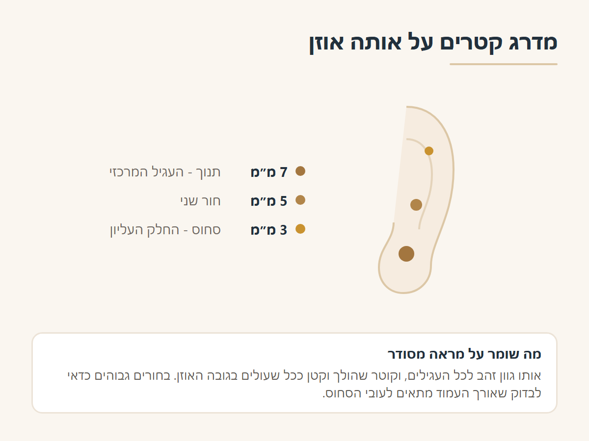 מדרג קטרי עגילים לפי מיקום באוזן